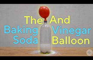 Baking Soda + Vinegar Balloon Experiment!