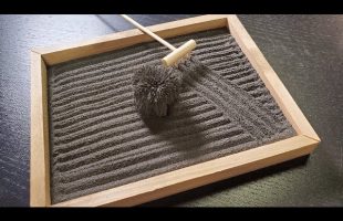 Magnetic Zen Garden #shorts