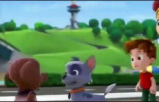 Animation movies – Paw Patrol Full Episodes – Paw Patrol Cartoon Nick JR English Game Movie