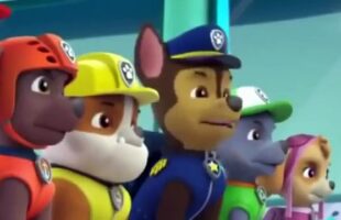 Animation Movies 2016 || Paw Patrol Cartoon Games, Full Episodes English Episode 01