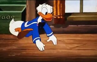 Animated Movies For Kids 2016 | Donald Duck Disney Cartoon Animation