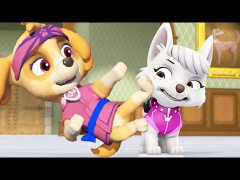 Paw Patrol Full Episodes English – Best Kids Movies Cartoon 2017 – Pups Save New Cartoon English