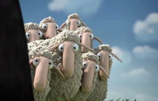 Oh Sheep! Animated Cartoon